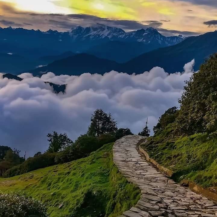 Chopta