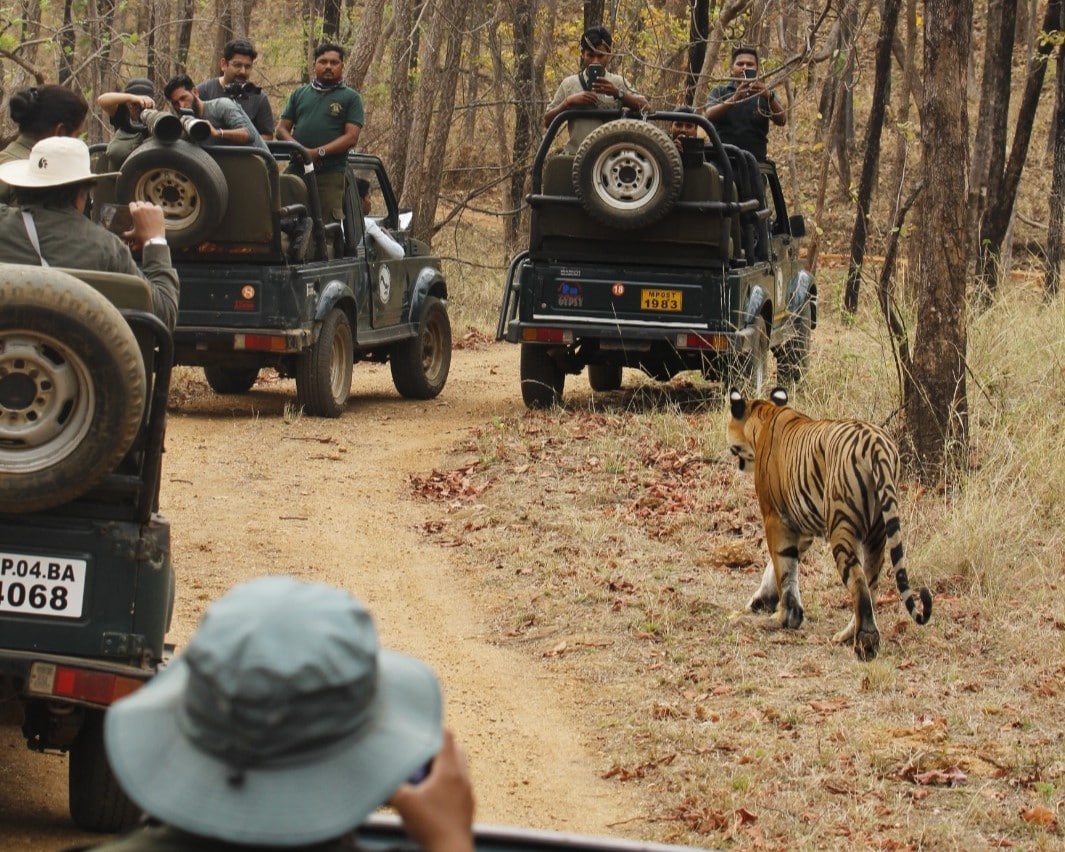 Jim Corbett Jeep Safari